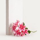 Homla, Lily, gałązka sztuczna, lilia różowa, 75 cm