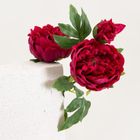 Homla, Paeonia, roślina sztuczna, piwonie ciemnoróżowe, 81 cm