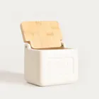 Homla, Sylan, pojemnik, na sól, śmietankowy, 12-11 cm