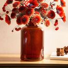 Homla, Tenno, wazon szklany, brązowy, 14,5-14,5-25,5 cm