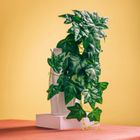 Homla, Tropical Zone, roślina zwisająca sztuczna, bluszcz, 40 cm