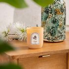Homla, Wellness, świeca zapachowa, Calm, 160g