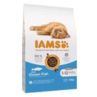 Iams, kitten ocean fish, sucha karma dla kota, 10 kg