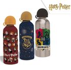 Icom, Harry Potter, bidon
