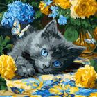 Ideyka, malowanie po numerach, Błękitnookie kocię, 40-40 cm