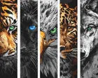 Ideyka, malowanie po numerach, Drapieżniki, 40-50 cm