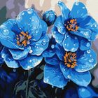 Ideyka, malowanie po numerach, Fiołki co rano, 30-30 cm