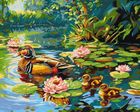 Ideyka, malowanie po numerach, Kacza rodzina, 40-50 cm