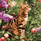 Ideyka, malowanie po numerach, Kot bengalski, 40-40 cm