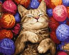 Ideyka, malowanie po numerach, Kot w plątaninie, 40-50 cm