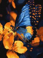 Ideyka, malowanie po numerach, migotanie skrzydeł, 30-40 cm