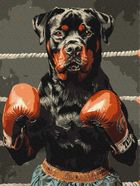 Ideyka, malowanie po numerach, Moc ringu, 30-40 cm