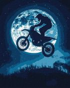 Ideyka, malowanie po numerach, Nocny szał, 40-50 cm