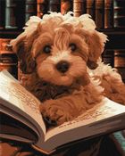 Ideyka, malowanie po numerach, Puszysty czytelnik, 40-50 cm