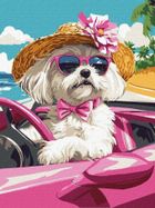 Ideyka, malowanie po numerach, Różowy samochód, 30-40 cm