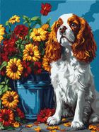 Ideyka, malowanie po numerach, Spaniel i kwiaty, 30-40 cm