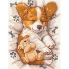 Ideyka, malowanie po numerach, Śpiący Corgi, 30-40 cm