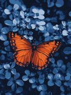 Ideyka, malowanie po numerach, światło wśród ciemności, 30-40 cm