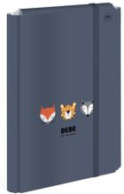 Interdruk, Bebe Kids, teczka z gumką A4+, boys