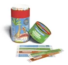 IUVI Games, Smart Sticks, Śladami dinozaurów, gra edukacyjna