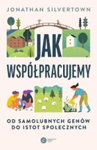 Jak współpracujemy.