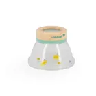 Janod, lupa, pojemnik do obserwacji