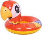 Jilong, kółko do pływania, zwierzątka, papuga, 55 cm
