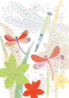 Karnet B6 + koperta, ważki