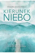 Kierunek niebo