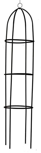 Kinzo, kolumna na róże