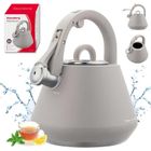 Klausberg, czajnik stalowy z gwizdkiem, szary, 2,5l, kb-7949