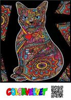 Kocisko. Kolorowanka welwetowa, 47-35 cm