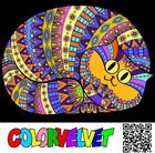 Kocur. Kolorowanka welwetowa, 47-35 cm