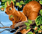 Koh-i-Noor, malowanie po numerach, Wiewiórka z orzechami, 40-50 cm