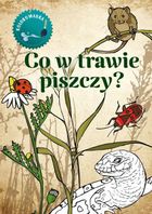 Kolorowanka. Co w trawie piszczy