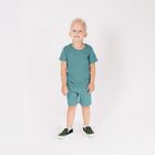 Komplet chłopięcy, Bluzka z krótkim rękawem, Szorty, zielony, Nicol