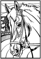 Koń Profil. Kolorowanka welwetowa A4