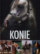 Konie