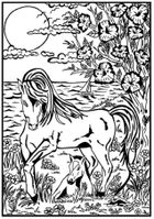 Konie. Kolorowanka welwetowa A4