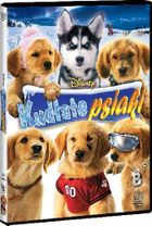 Kudłate psiaki. DVD