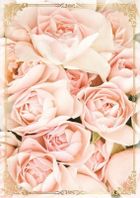 Kukartka, karnet B6, Kwiaty