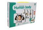 Lean Toys, części ciała, puzzle edukacyjne, 10 elementów