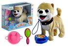 Lean Toys, husky, interaktywny piesek na smyczy + akcesoria