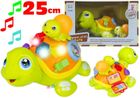 Lean Toys, Kolorowy żółw i żółwiątko, zabawka interaktywna