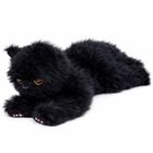 Lean Toys, leżący kotek, maskotka, czarny, 38 cm