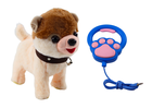 Lean Toys, piesek chodzący na smyczy, maskotka interaktywna