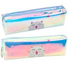 Lean Toys, piórnik saszetka, holograficzny z kotem, niebieski, 21-6 cm