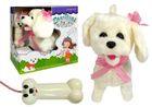 Lean Toys, pudel na smyczy, piesek na pilot, biały