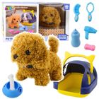 Lean Toys, pudel, zabawka interaktywna + akcesoria