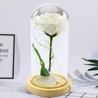 Lean Toys, wieczna róża w kopule, z oświetleniem LED